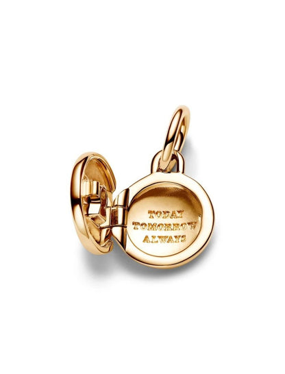 Mélange de métaux unique plaqué or Zircone Cubique Rouge