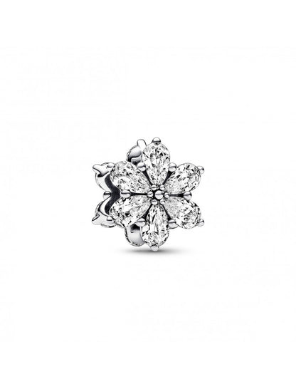 Charme de grappe d'herbier étincelant