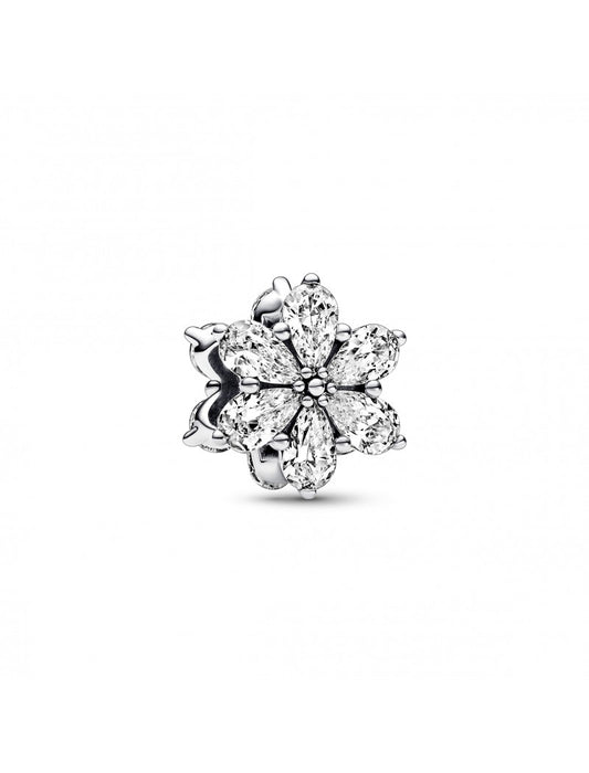 Charme de grappe d'herbier étincelant