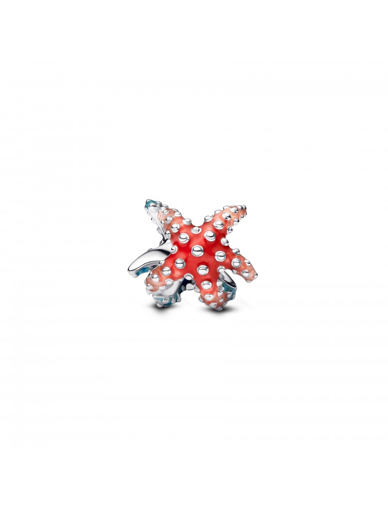 Mini charm étoile de mer colorée