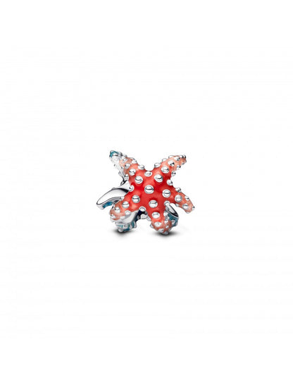 Mini charm étoile de mer colorée