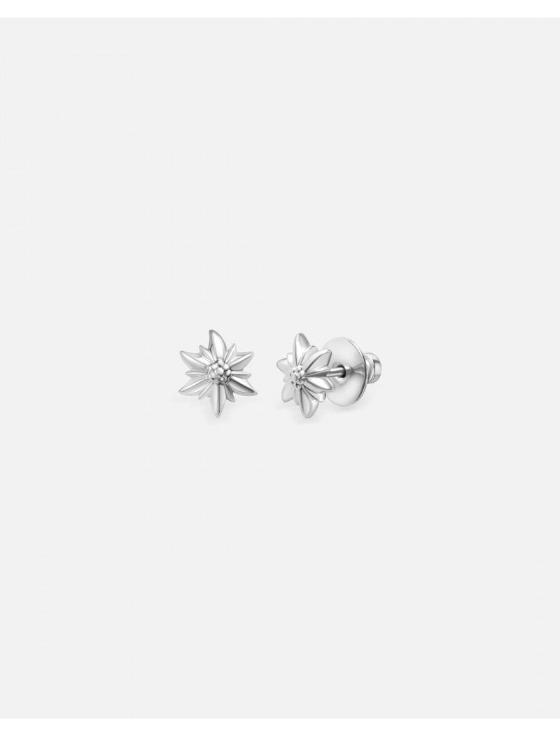 Clous d'oreilles Edelweiss en acier inoxydable. Système d'ailettes