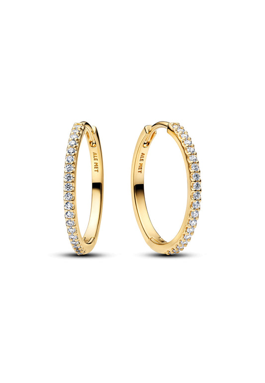 Boucles d'oreilles créoles scintillantes