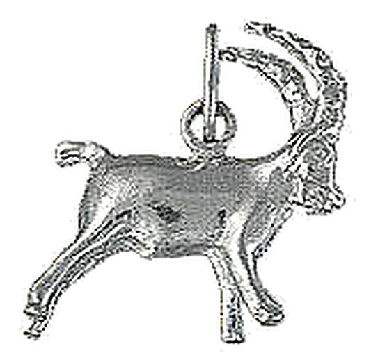Pendentif argent rhodié signe zodiaque Capricorne