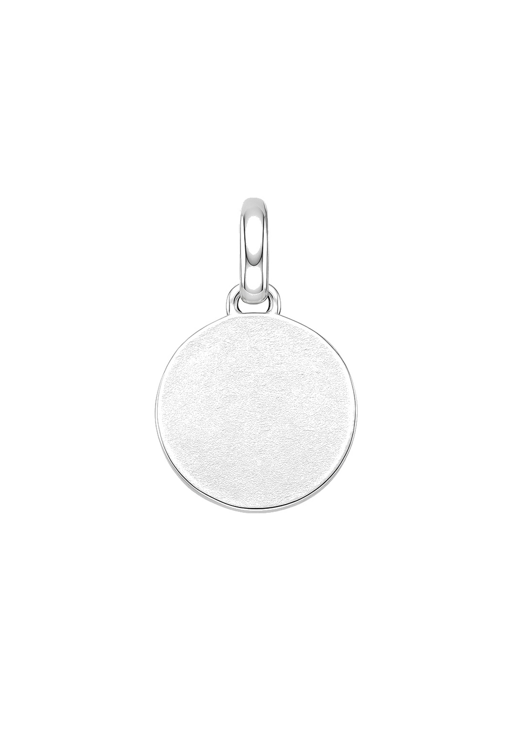 Charm médaillon argent 925 dauphin et étoiles zirkonia