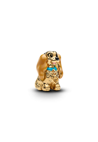 Disney Lady Charm