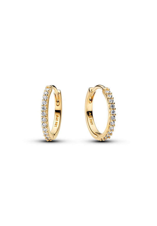 Boucles d'oreilles créoles miniatures scintillantes