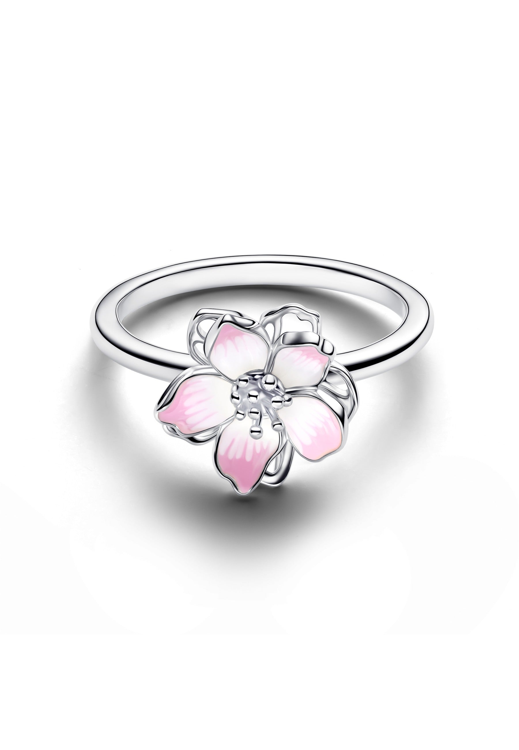 Anneau de fleurs de cerisier